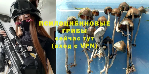 прущая мука Арсеньев