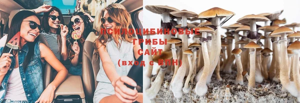 ECSTASY Армянск