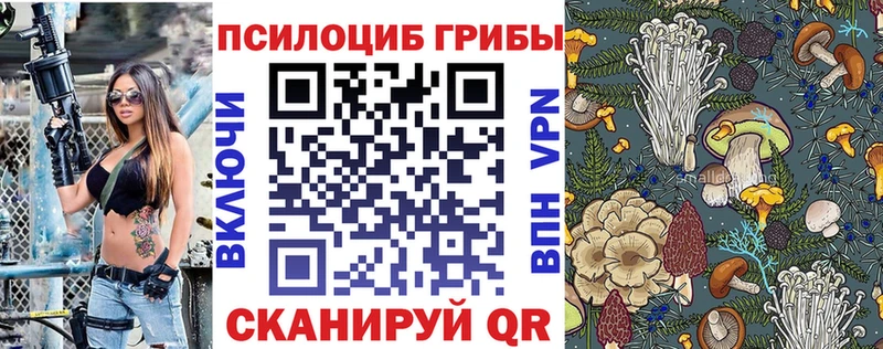 Галлюциногенные грибы прущие грибы  Купить где  Бокситогорск 